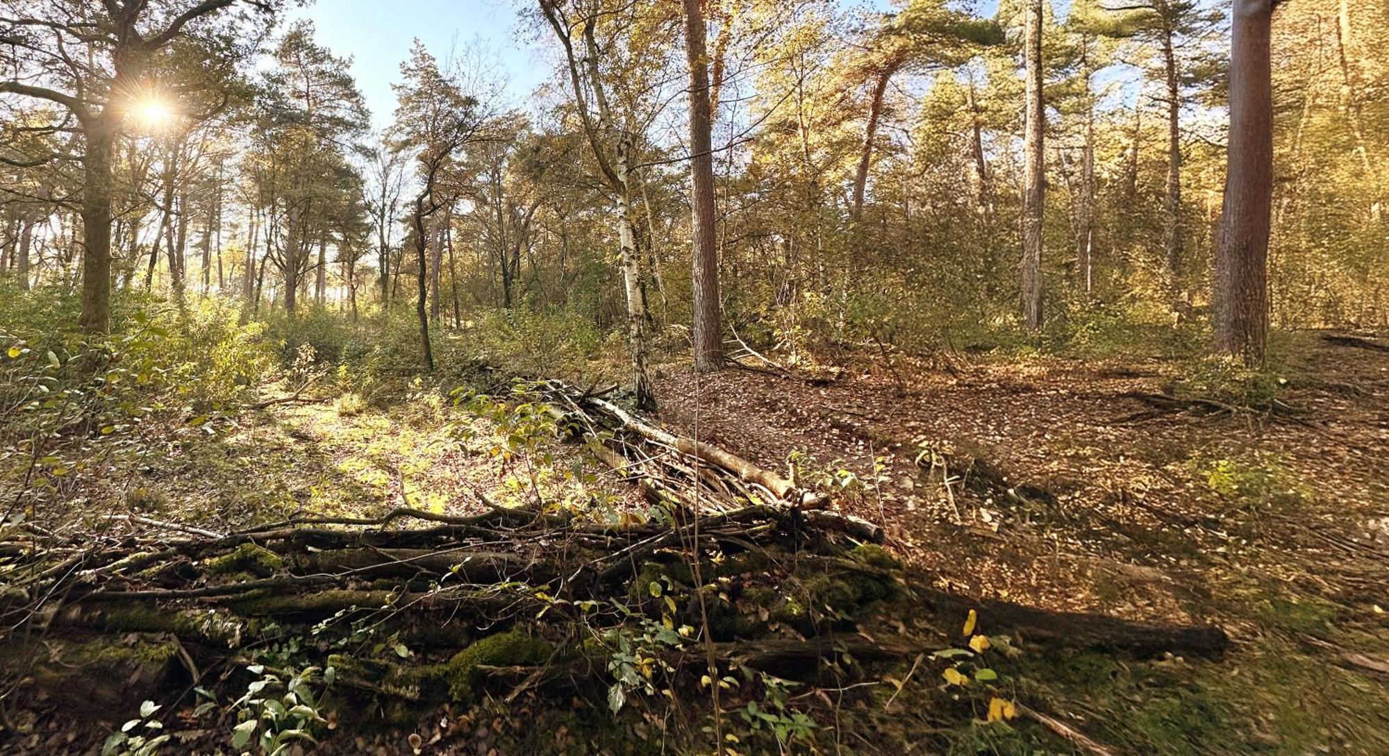 Wellness Tuin - Ultieme Partner Beleving - St Hubertus Suite Met Jacuzzi ,Openhaard, Prive Hottub En Prive Sauna In Jachthut Stijl Horst Dış mekan fotoğraf